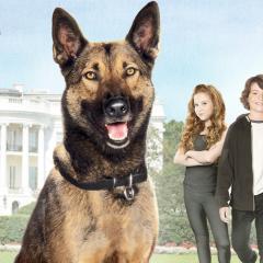 军犬麦克斯2：白宫英雄 - 1HMcmAD4iwWRw0EsGMFROew3zri.jpg