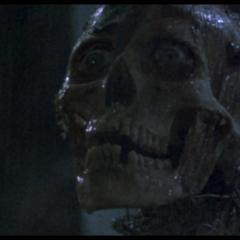 活死人归来 - xcx6oKeAcVfxcVhEjCbfTGZpkTk.jpg