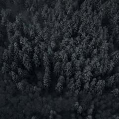 猎头武士 - fVrfnmPkzTaUI8VnY2a3HiTI1dr.jpg