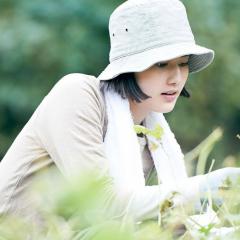 小森林：夏秋篇 - hzGGT5nZtbjLf8f3ESMf8Ij8azC.jpg