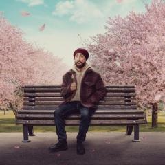 Late Bloomer - 5N10hiU7MWLB6ZPclJV66DTsPf3.jpg