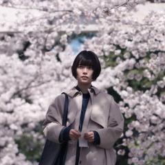 不朽的樱花 - boskqpbXhPgbQF9Cox9eaNAe6E8.jpg