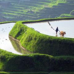美丽中国 - zLDuCtG8ADavnWUVs5fjCzWaIIR.jpg