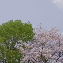 小森林：冬春篇 - wqwftPDSqGIWveObSHjigVLxZME.jpg