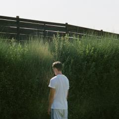 狗牙 - zByGQtTNiE48jiCamLuJPQzkQiL.jpg