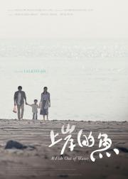 上岸的鱼