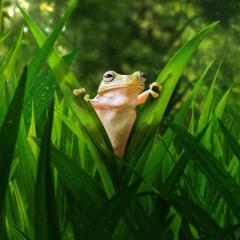 Tiny World - gS7qGXwerjV6wizZz00lg6ziHvt.jpg