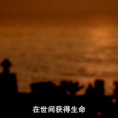 Disregarded - 119abf08837e95bf.png