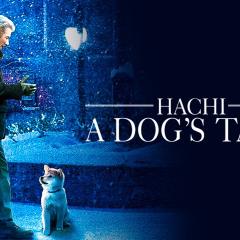 忠犬八公的故事 - A4Aplrnys9FOi3ZUtLufGT6Hvk3.jpg