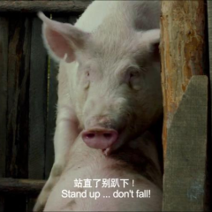 东北偏北 - d54e463f19ae99e8.png
