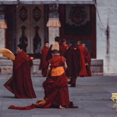 寻鹿香巴拉 - pX5pYQUWwU8DeTcFKNzcCxDzv7S.jpg