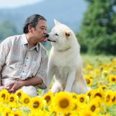 星守之犬 - 2mevn0s8GOFILdLgHz5PyhbXaN.jpg