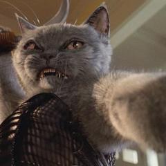 猫狗大战 - 7DPOMgYmCSv0J3PVQV8qwAeR8io.jpg